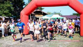 Fesztivál az egészségért Krasznán